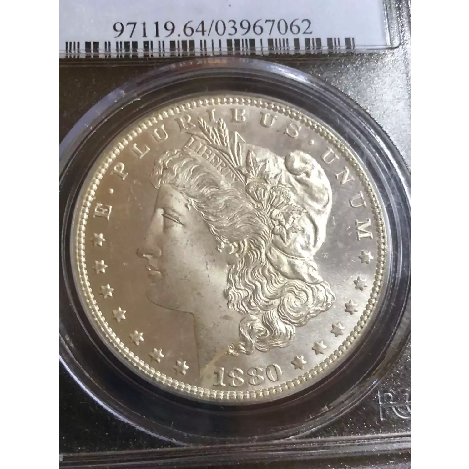 1880-S $1, DMPL (2)
