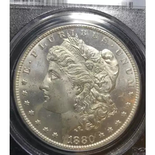 1880-S $1, DMPL (3)