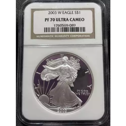 2003 W  ULTRA CAMEO (5)