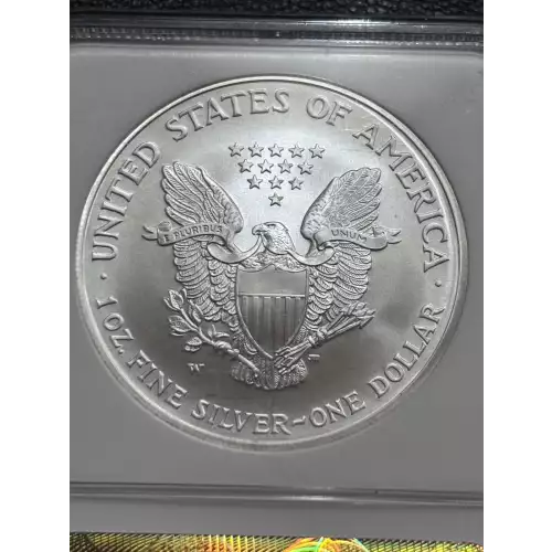 2008 W BURNISHED SILVER EAGLE REVERSE OF 2007 (4)