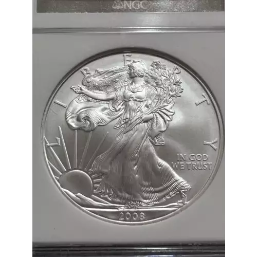 2008 W BURNISHED SILVER EAGLE REVERSE OF 2007 (5)