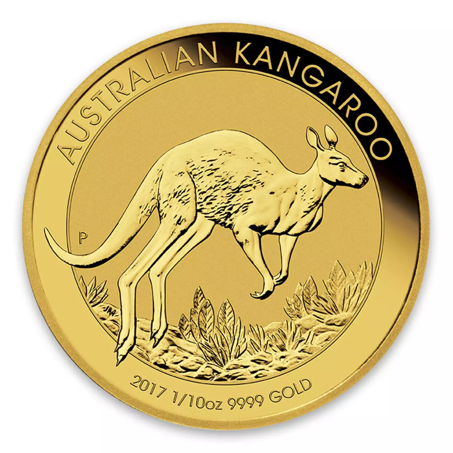 2017 1/10oz Bullion Nugget / Kangaroo Coin (3)