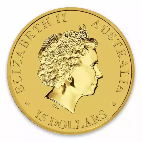 2017 1/10oz Bullion Nugget / Kangaroo Coin (4)