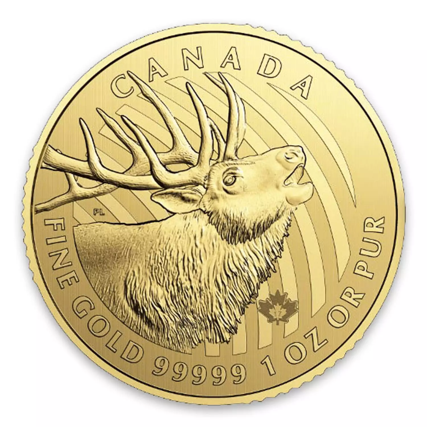 2017 1oz Canadian Gold Elk - 99999 (2)