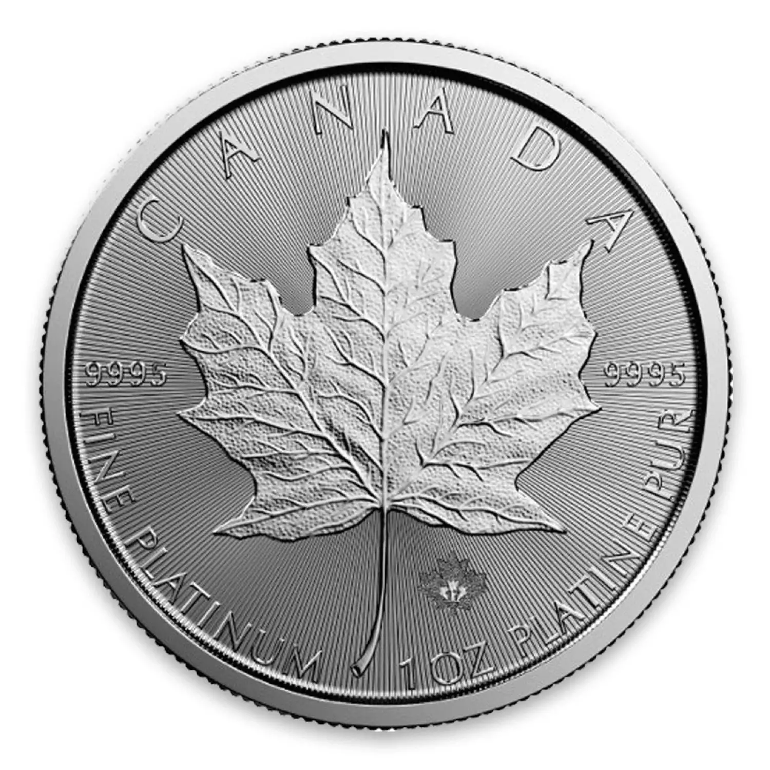 2017 1oz Canadian Platinum Maple Leaf (3)