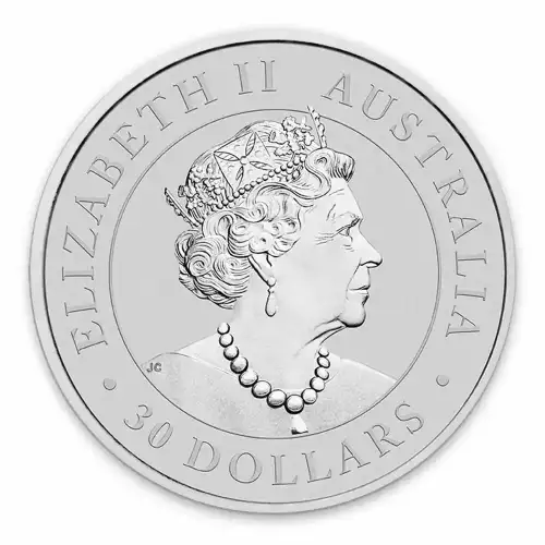 2019 1kg Australian Perth Mint Silver Koala (3)