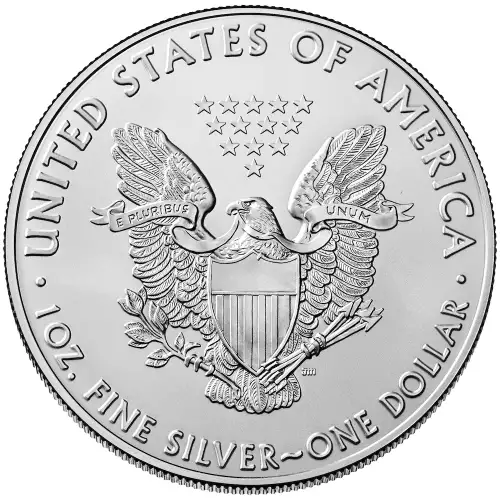 2020 1oz American Silver Eagle (2)