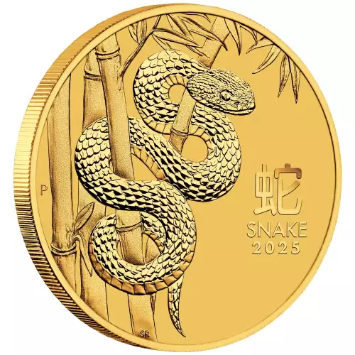 2025 10oz Australian Perth Mint Gold Lunar Series III Year of the