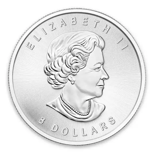 Any Year 1.25oz Canadian Silver Bison (3)