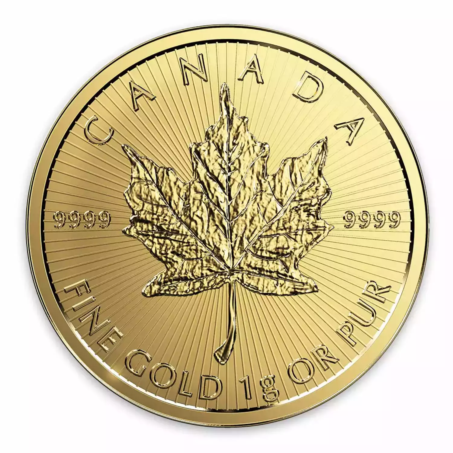 Any Year 25 x 1g Canadian Maplegram (3)