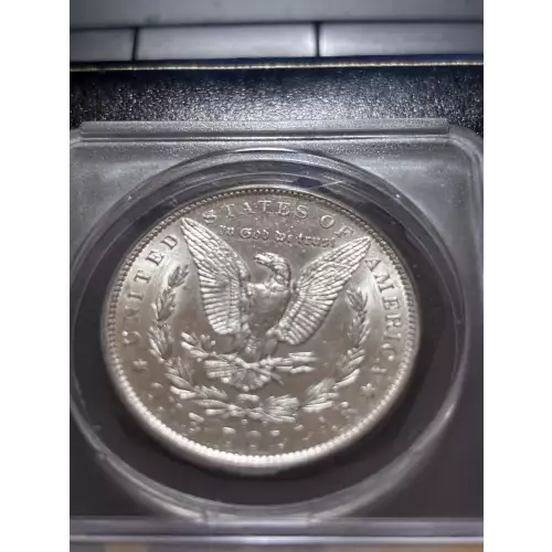 Morgan Silver Dollar