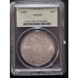 Morgan Silver Dollar