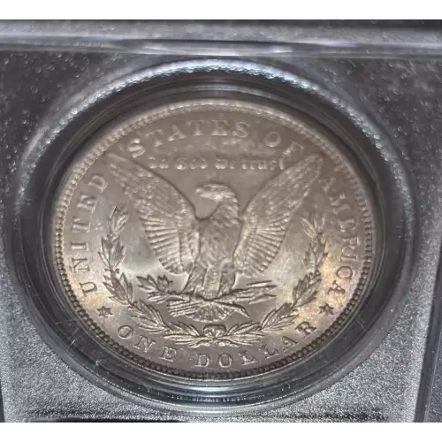 Morgan Silver Dollar (4)