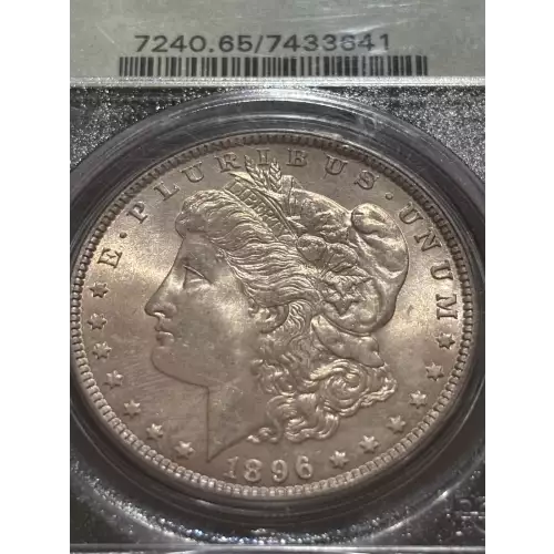 Morgan Silver Dollar (5)