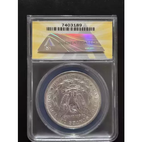 Morgan Silver Dollar (2)