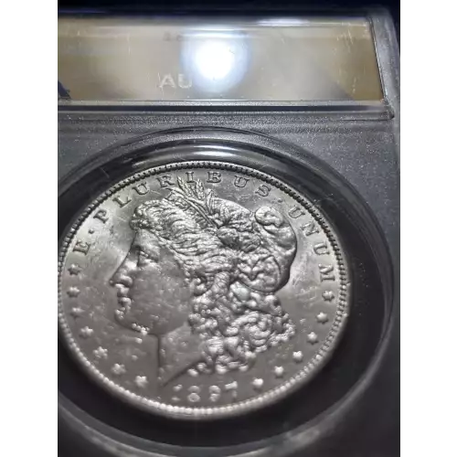 Morgan Silver Dollar (5)