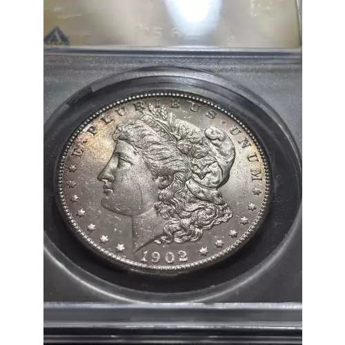 Morgan Silver Dollar (4)