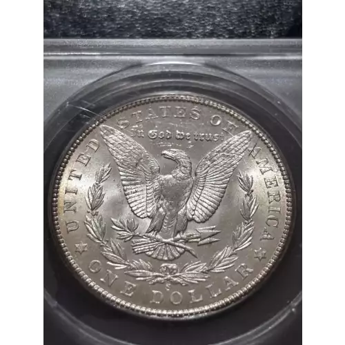 Morgan Silver Dollar (5)