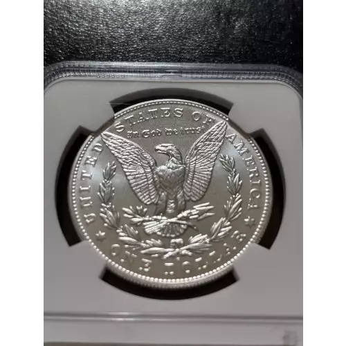 Morgan Silver Dollar (4)