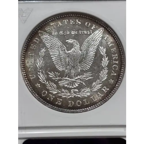 Morgan Silver Dollar (5)