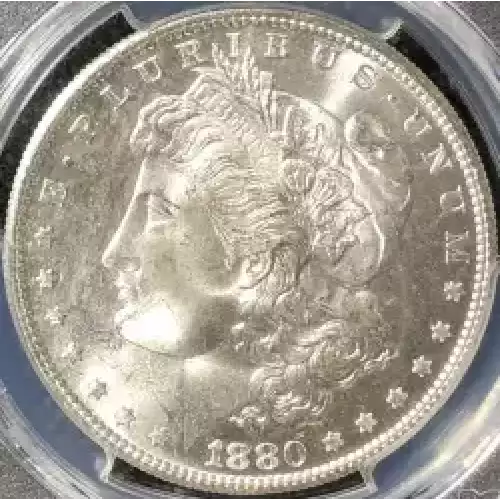 Morgan Silver Dollar (4)