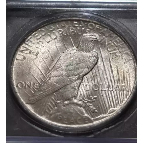 Peace Silver Dollar (4)