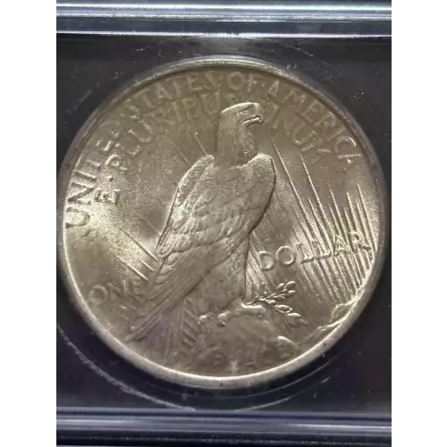 Peace Silver Dollar (4)