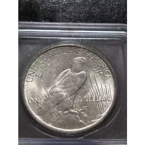 Peace Silver Dollar