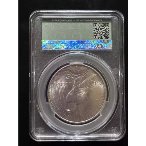 Peace Silver Dollar (2)