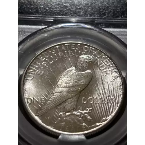 Peace Silver Dollar (4)