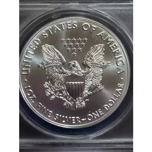 Silver Eagles (5)