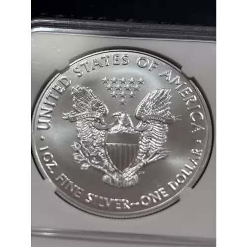 Silver Eagles (4)