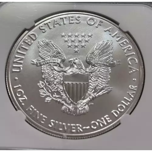 Silver Eagles (4)