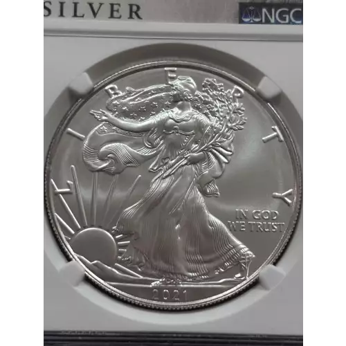 Silver Eagles (5)