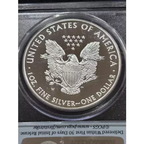 Silver Eagles (5)